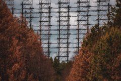 1622254693_24-oir_mobi-p-rizhii-les-chernobil-priroda-krasivo-foto-30